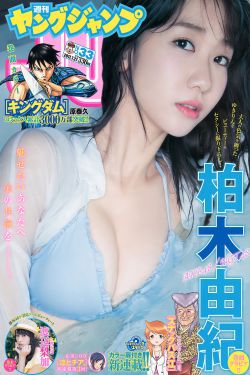 我是一棵小草电视剧