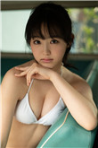 蜂蜜幸运草