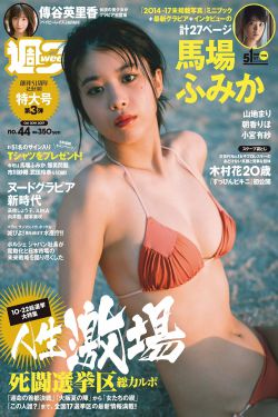 理想之城 电视剧