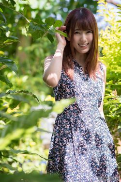 杨勇战鲁西