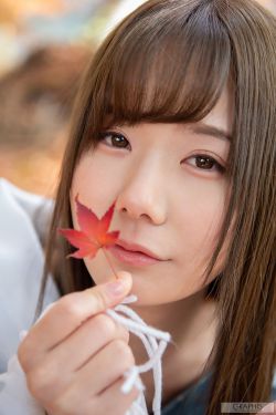 法证先锋 第2部